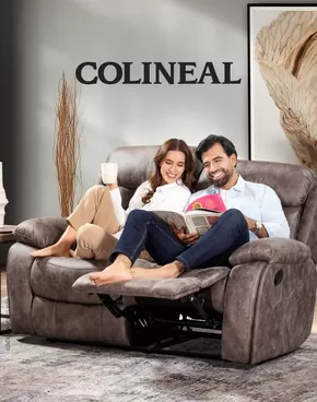 Catálogo Colineal en Ambato | Colineal Relax  | 2025-01-31T00:00:00.000Z - 2025-03-31T00:00:00.000Z