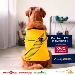 Catálogo Megamaxi en Manta | Camiseta ECU C.AMERICA | 2025-03-25T00:00:00.000Z - 2025-03-31T00:00:00.000Z