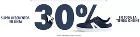 Super dscto en linea 30%