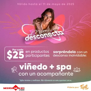 Catálogo Megamaxi | Nuestras mejores gangas | 2025-04-30T00:00:00.000Z - 2025-05-11T00:00:00.000Z