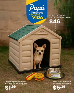Catálogo Ferrisariato | Ofertas para mascotas | 2025-06-16T00:00:00.000Z - 2025-06-22T00:00:00.000Z
